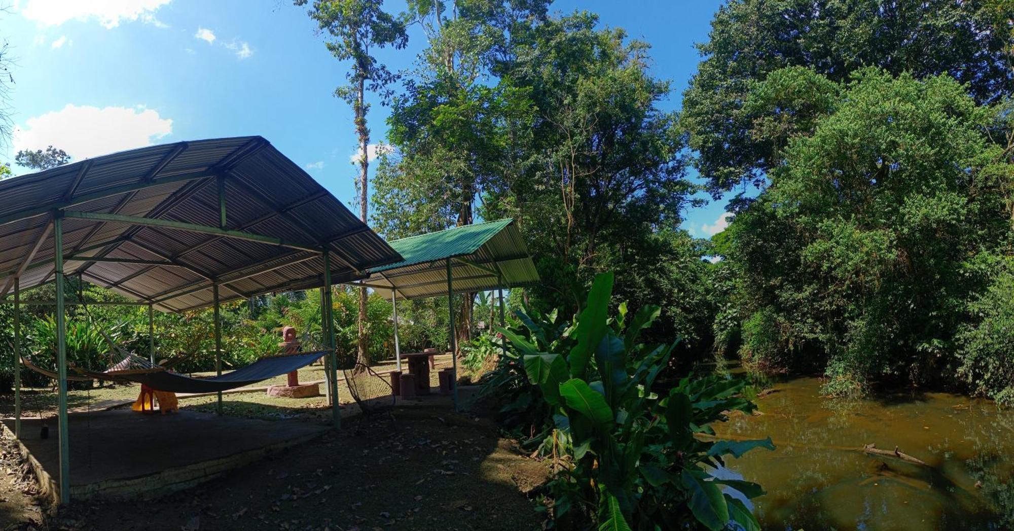 Finca La Paz - Sarapiqui Puerto Viejo de Sarapiqui Exterior foto